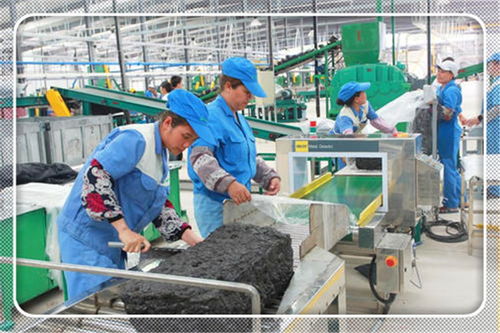 2021年適合農(nóng)村開辦的小型加工廠項(xiàng)目 投資少、前景廣闊